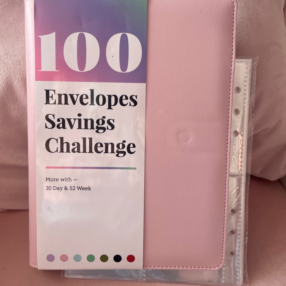 100-Envelope Savings Challenge Organizer - Pink